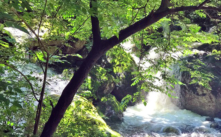 【秦岭图片】【游记攻略】 太平森林公园：邂逅秦岭最壮美的瀑布群   