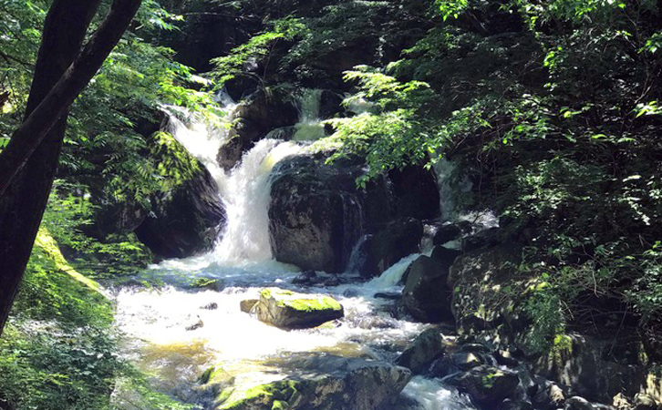 【秦岭图片】【游记攻略】 太平森林公园：邂逅秦岭最壮美的瀑布群   